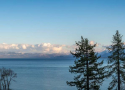 Peppertree-Panoramic-lakeview